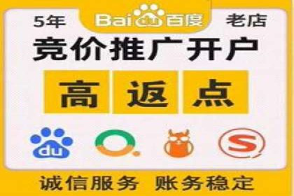 SEM竞价实战：成功案例解析